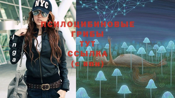 молекула духа Балабаново