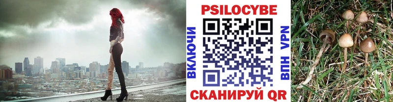 где купить наркотик  OMG ССЫЛКА  Галлюциногенные грибы Psilocybine cubensis  Верея 