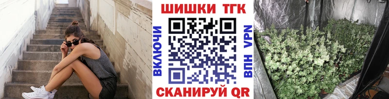 где купить наркотик  Верея  Каннабис SATIVA & INDICA 